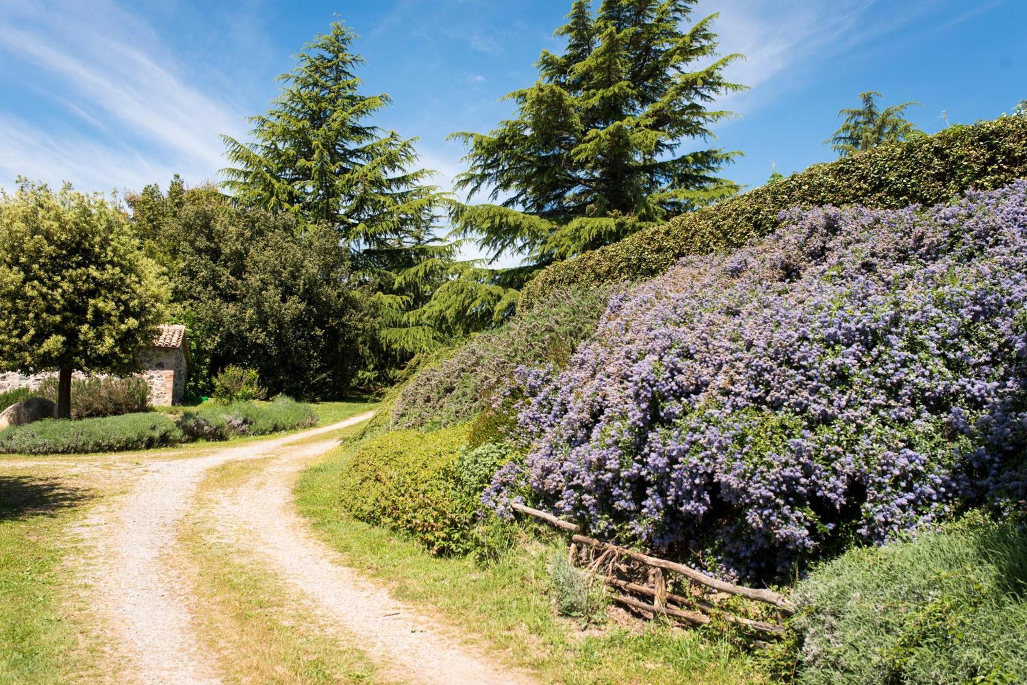 Agri Relais Il Poderaccio Di Bolsena Bagian luar foto