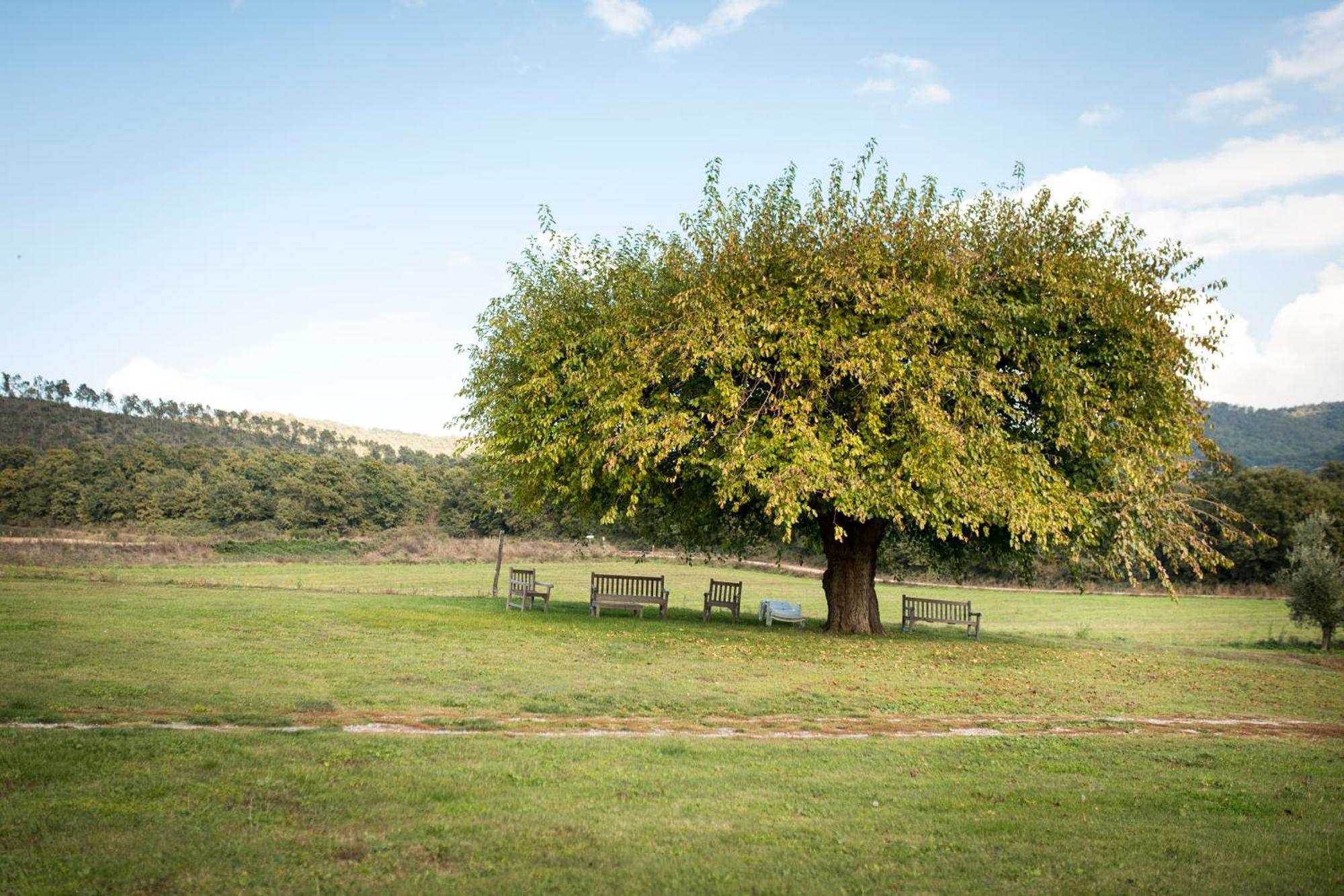 Agri Relais Il Poderaccio Di Bolsena Bagian luar foto