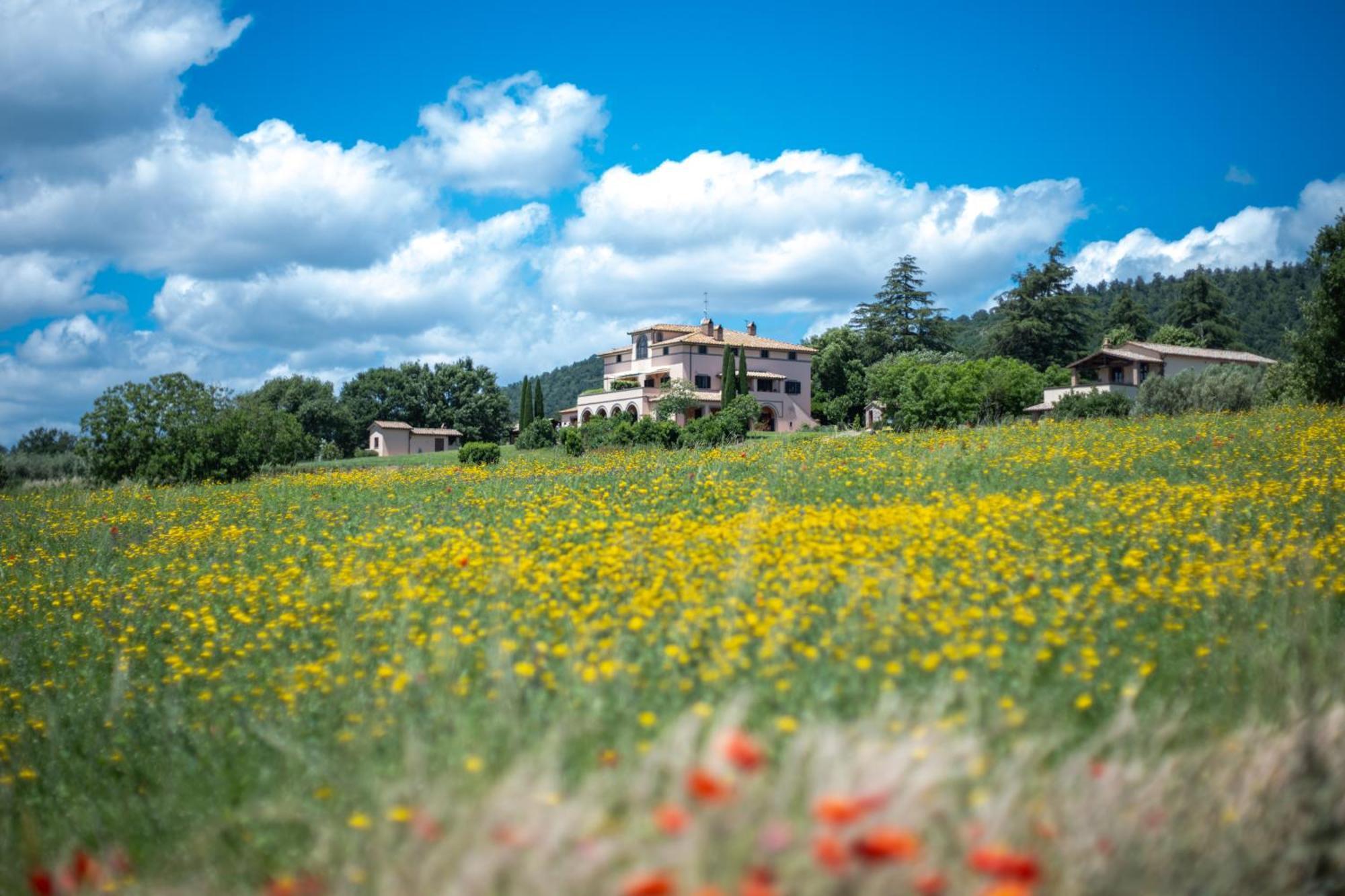 Agri Relais Il Poderaccio Di Bolsena Bagian luar foto