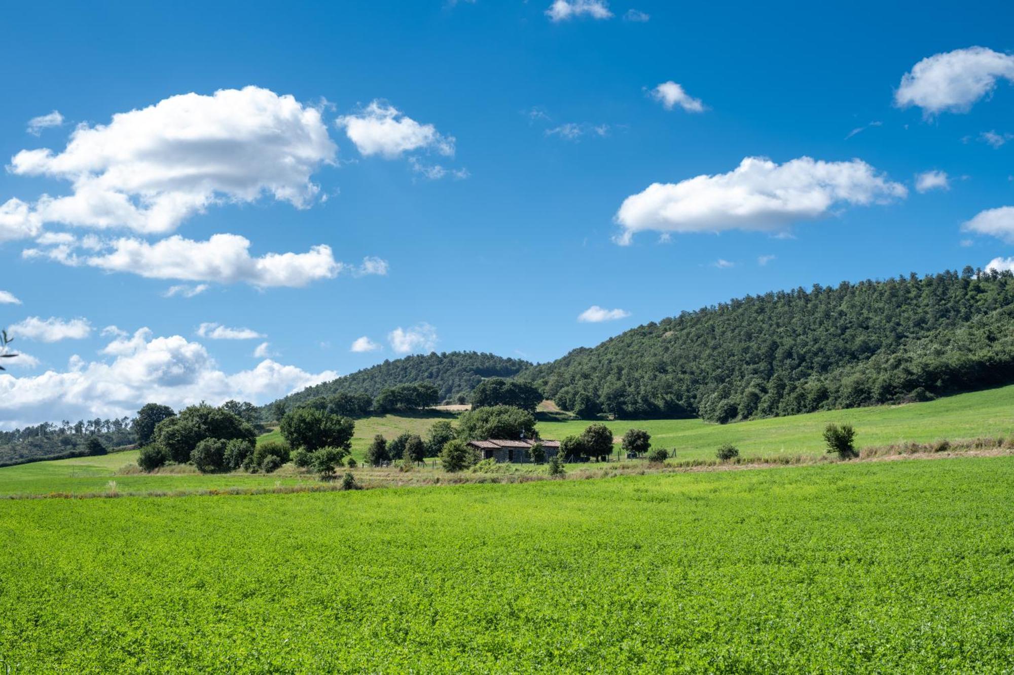 Agri Relais Il Poderaccio Di Bolsena Bagian luar foto