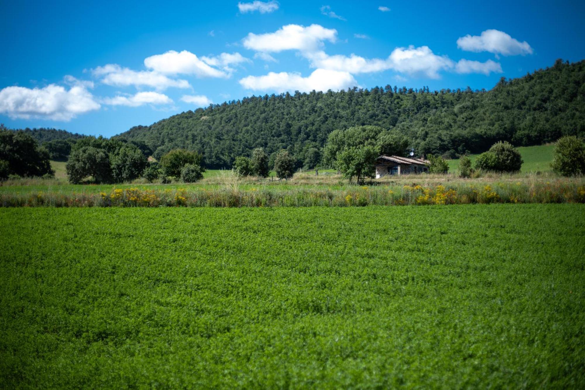 Agri Relais Il Poderaccio Di Bolsena Bagian luar foto