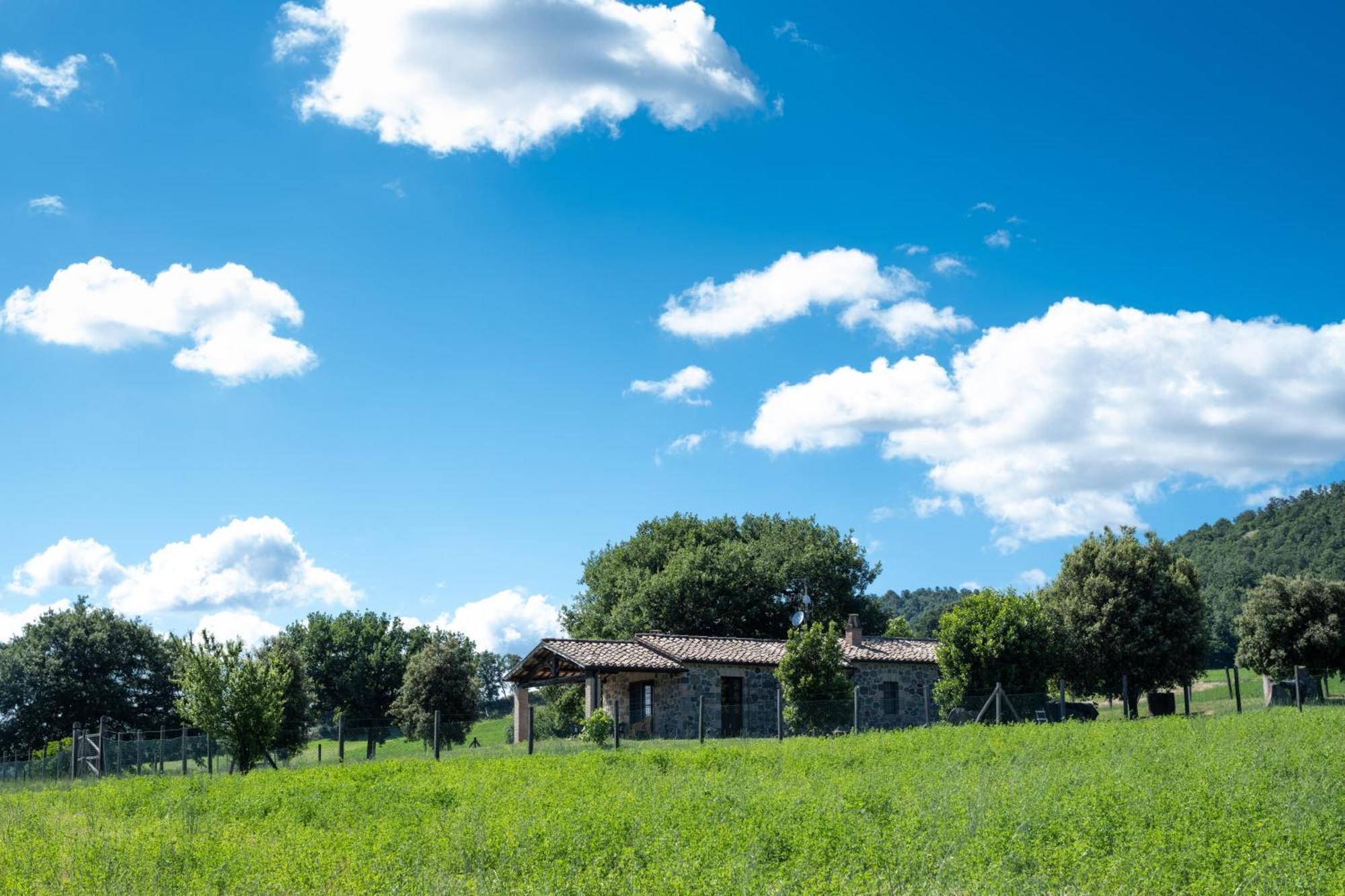 Agri Relais Il Poderaccio Di Bolsena Bagian luar foto