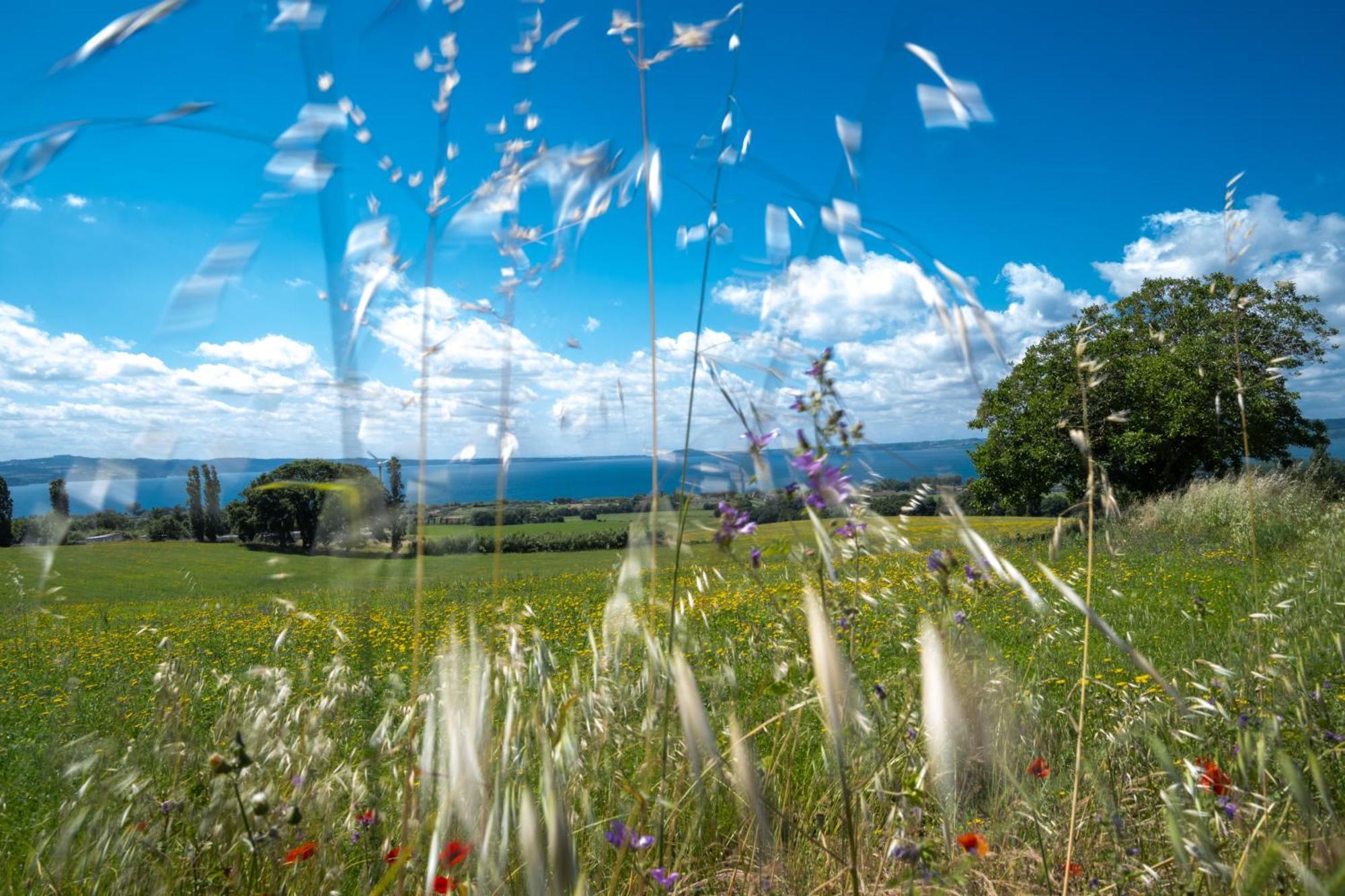 Agri Relais Il Poderaccio Di Bolsena Bagian luar foto