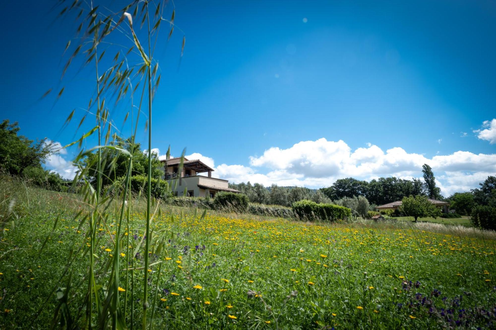 Agri Relais Il Poderaccio Di Bolsena Bagian luar foto