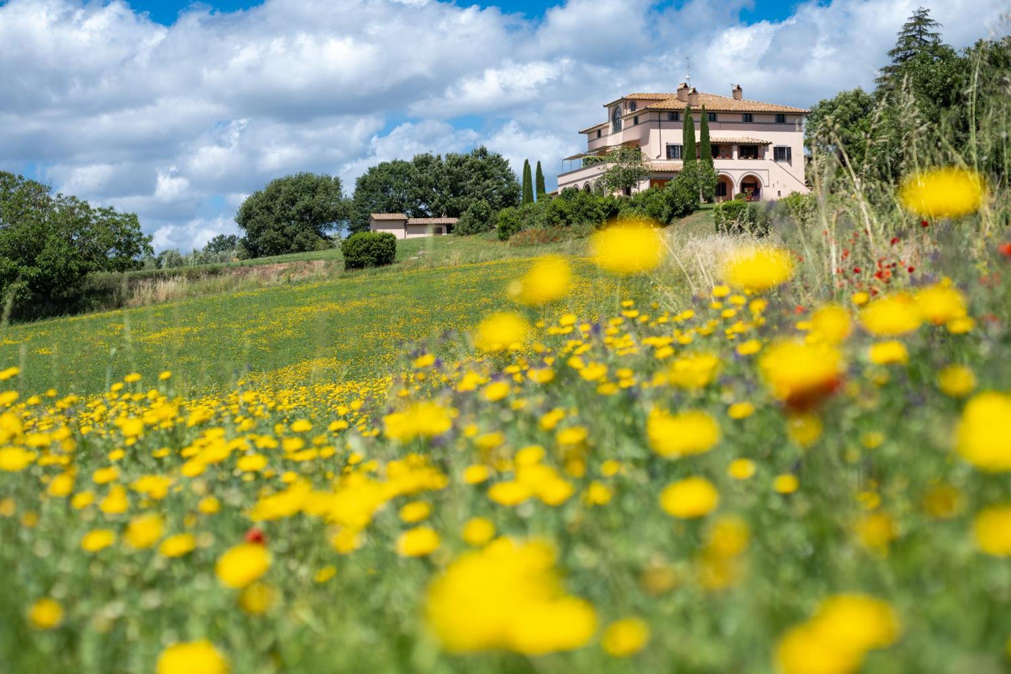 Agri Relais Il Poderaccio Di Bolsena Bagian luar foto