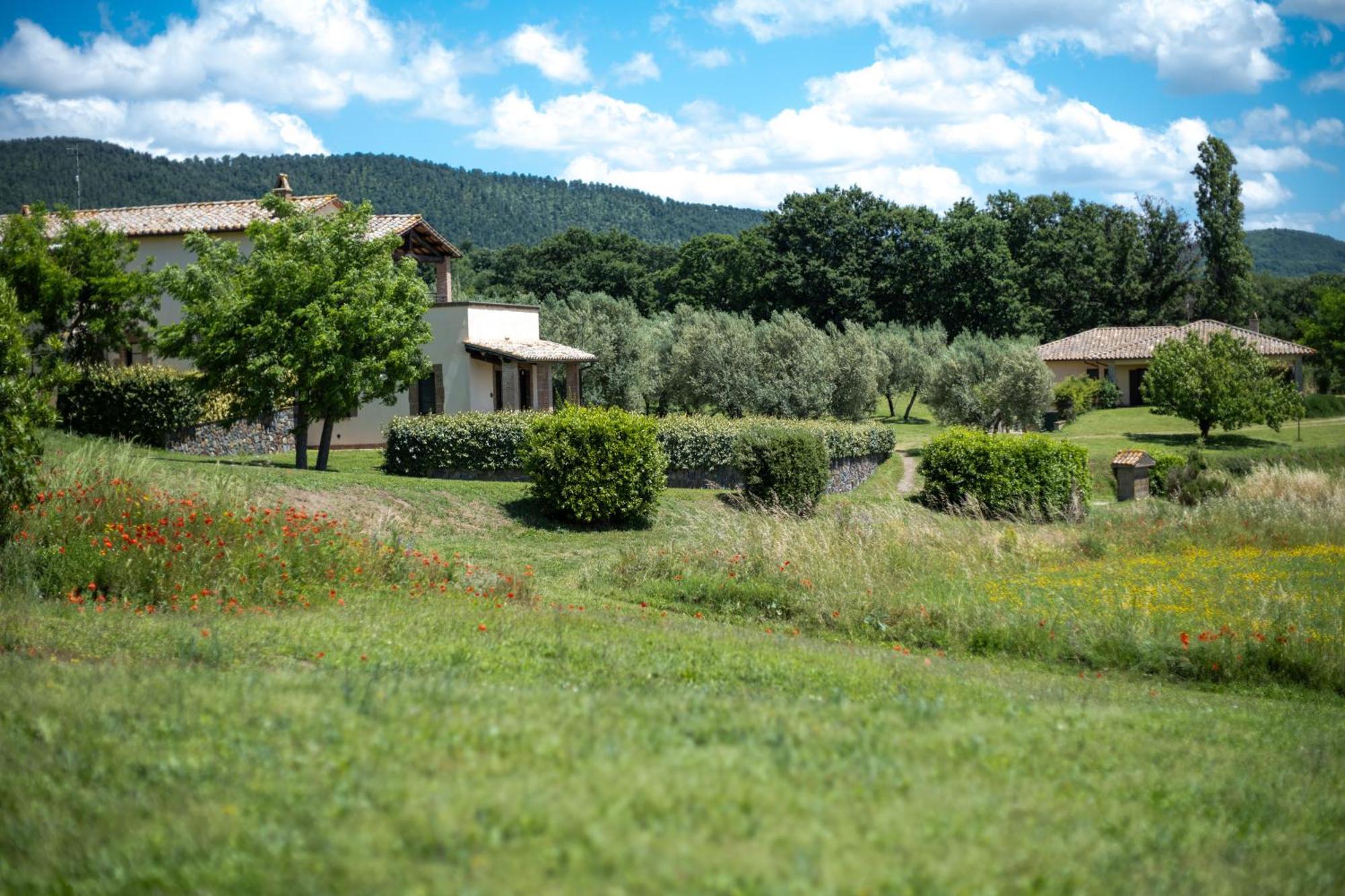 Agri Relais Il Poderaccio Di Bolsena Bagian luar foto